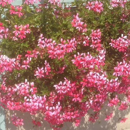 Hostel Hostel Obertrum Obertrum am See